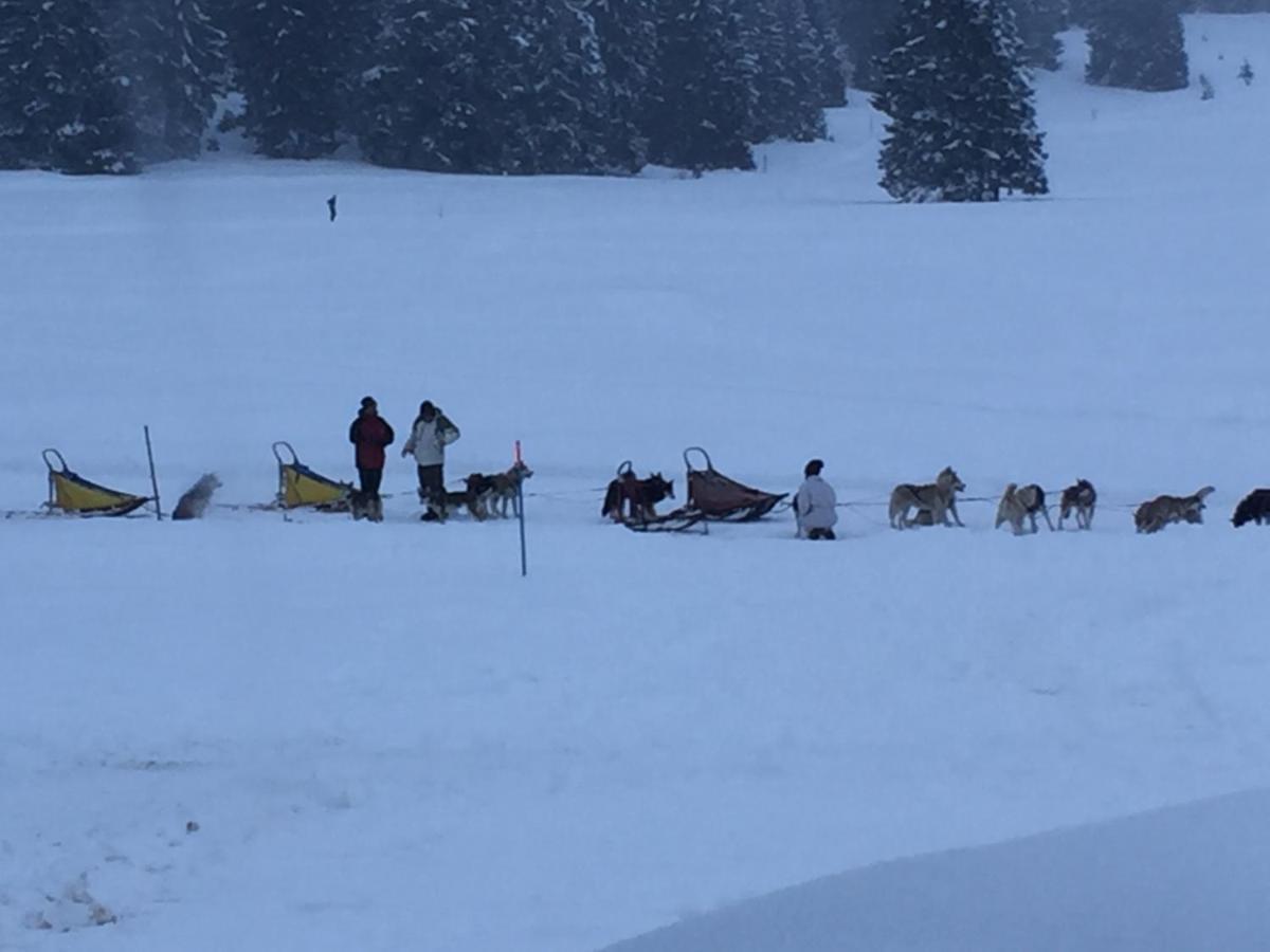 Malga Millegrobbe Nordic Resort Lavarone Eksteriør billede