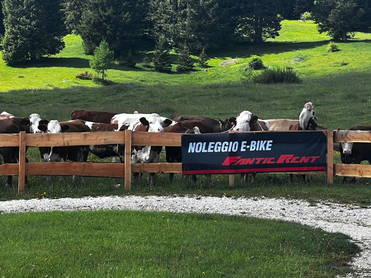 Malga Millegrobbe Nordic Resort Lavarone Eksteriør billede