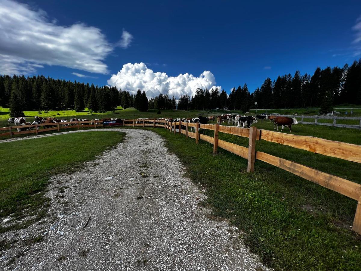 Malga Millegrobbe Nordic Resort Lavarone Eksteriør billede